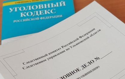 В Новоспасском районе завершено расследование уголовных дел по фактам незаконного оборота средств платежа